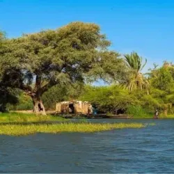 White Nile River - Bor