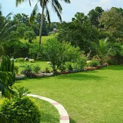 Community Cultural Events - Kongor