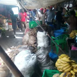 Local Markets of Kongor - Kongor