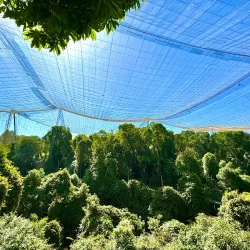 Local Wildlife and Bird Watching - Kongor