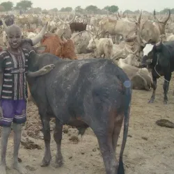 Traditional Dinka Villages - Kongor