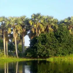Malakal Market - Malakal