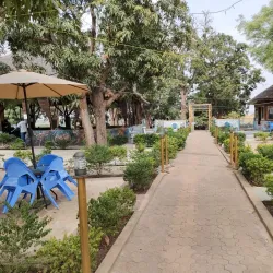 Local Cuisine Experiences - Melut