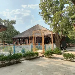 Local Cuisine Experiences - Melut