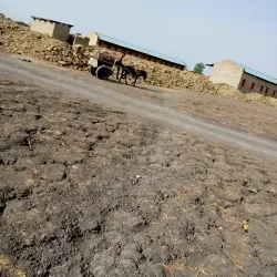 Melut Market - Melut