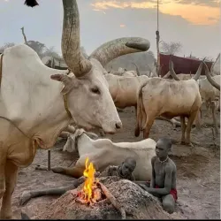 Nile River Boat Tours - Melut