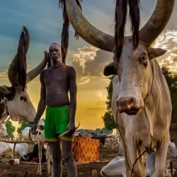 Nile River Boat Tours - Melut