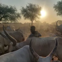 Nile River Boat Tours - Melut