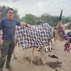 Nile River Boat Tours - Melut