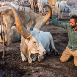 Nile River Boat Tours - Melut