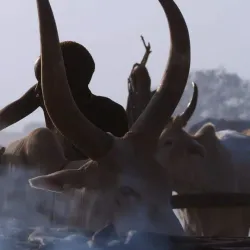 Nile River Boat Tours - Melut