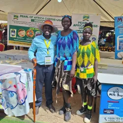 Traditional Dance and Music Events - Nasir