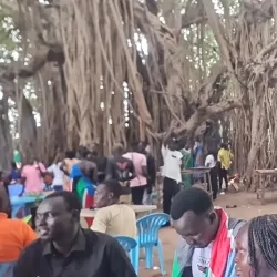 Traditional Dance and Music Events - Nasir