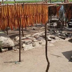 Upper Nile State Wildlife - Nasir