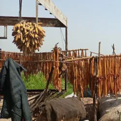 Upper Nile State Wildlife - Nasir