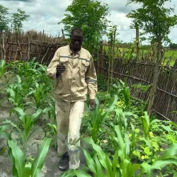 Upper Nile State Wildlife - Nasir