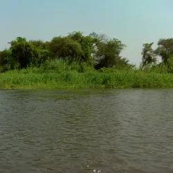 Local Wildlife Viewing - Rumbek