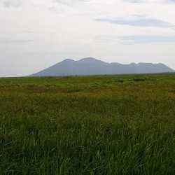 Local Wildlife Viewing - Rumbek