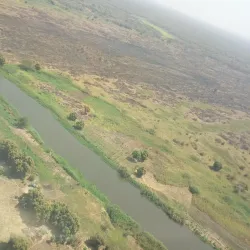 Local Wildlife Viewing - Rumbek