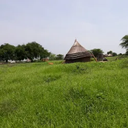 Local Wildlife Viewing - Rumbek