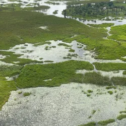 Sudd Wetlands - Rumbek