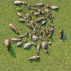 Sudd Wetlands - Rumbek