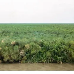 Sudd Wetlands - Rumbek