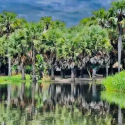 Sudd Wetlands - Rumbek