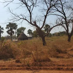 Local Traditional Villages - Wau