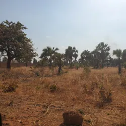 Local Traditional Villages - Wau