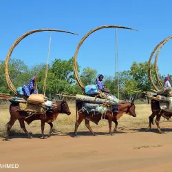 Nile River near Wau - Wau