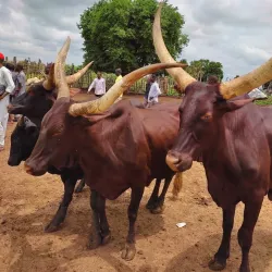 Wau River Walks - Wau