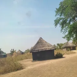 Wau River Walks - Wau