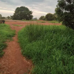 Wau River Walks - Wau