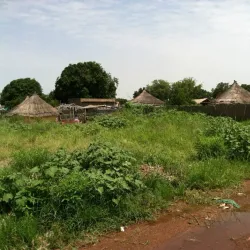 Wau River Walks - Wau