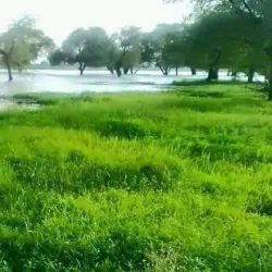 Wau River Walks - Wau