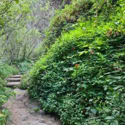 Barranco del Infierno - Adeje