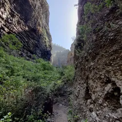 Barranco del Infierno - Adeje