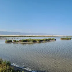 Punta Entinas-Sabinar Natural Park - Adra