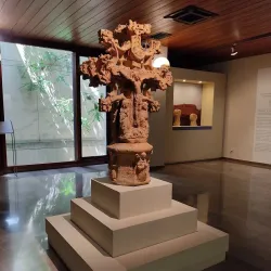 Museum of Albacete (Museo de Albacete) - Albacete