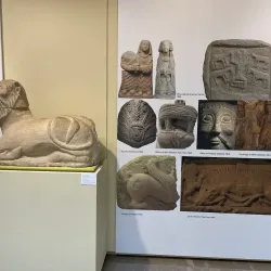 Museum of Albacete (Museo de Albacete) - Albacete