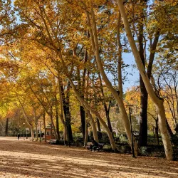 Parque Abelardo Sánchez - Albacete