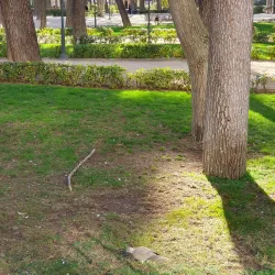 Parque Abelardo Sánchez - Albacete