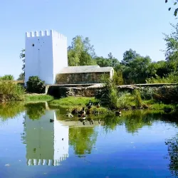 Molino de la Aceña - Alcala de Guadaira
