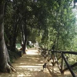 Molino de la Aceña - Alcala de Guadaira