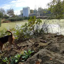 Molino de la Aceña - Alcala de Guadaira