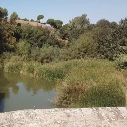 Molino de la Aceña - Alcala de Guadaira