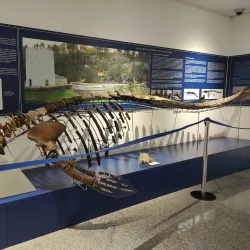 Museo de Alcalá de Guadaíra - Alcala de Guadaira