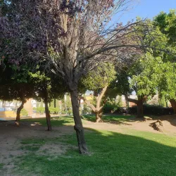 Parque Centro - Alcala de Guadaira