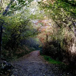 Parque Oromana - Alcala de Guadaira